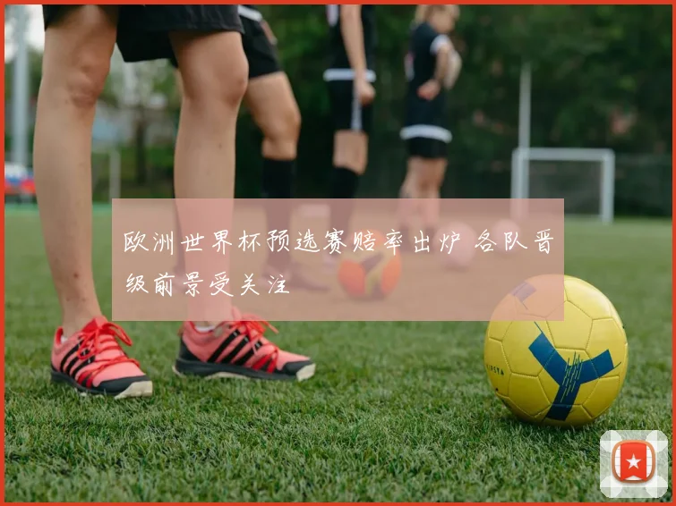 欧洲世界杯预选赛赔率出炉 各队晋级前景受关注